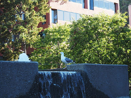 ˮ���ϵ�С��