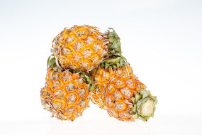 ̩��С����