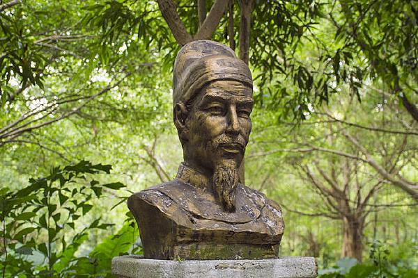 �����������