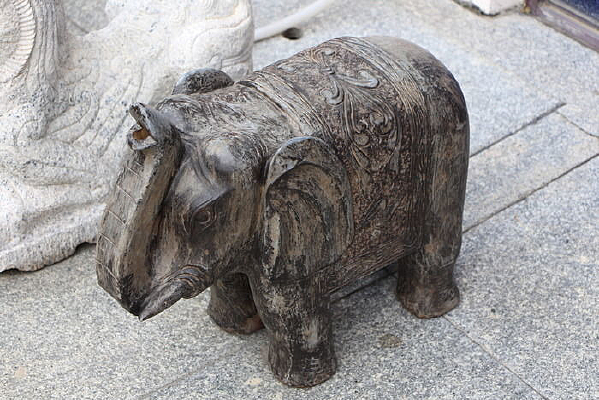 ����ľ��