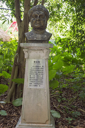 ���ײ��������