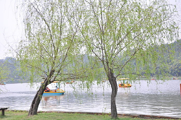 ������ɫ