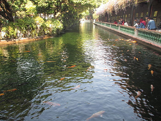 ��ˮ�н���