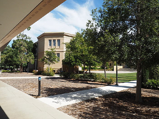 ���׵�͸ˮ�̵���ֲ�ݵ��뽨��