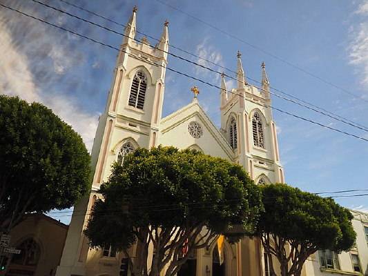 ���ý�����ïʢ����ľ