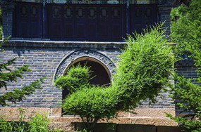 ��ȸ������