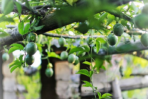 ����������������