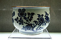 ���໨������¯