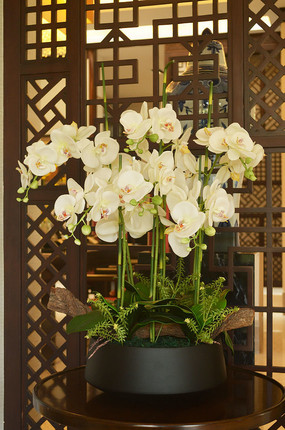 ʱ�мҾ���������ͼƬ