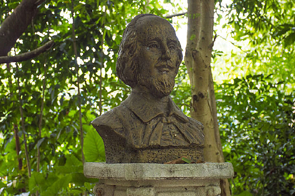 ���ذ����������