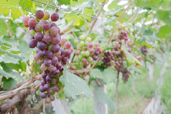 δ���������