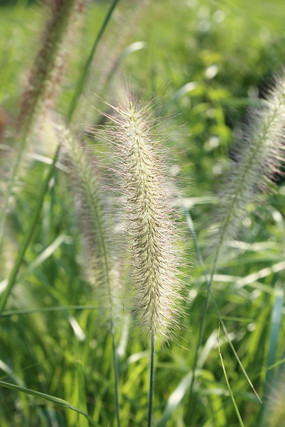 ���ջ���