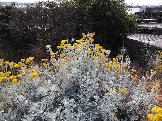 ��ɫ���ɫ�Ĺ��Ͳ�