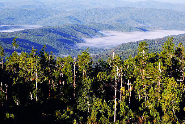 ���˰���ԭʼɭ�־���