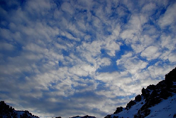 ���Ƶ����