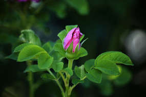 ���װ�����