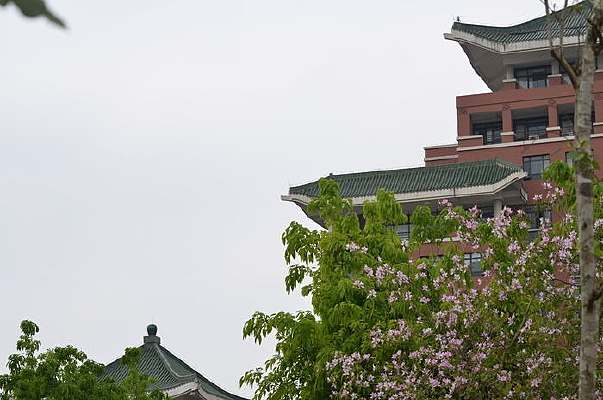 ��¥ǰ���Ͼ����羰ͼƬ