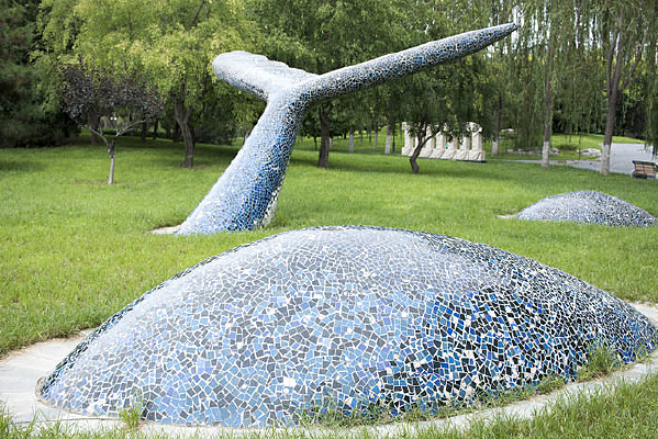 �����������͵���