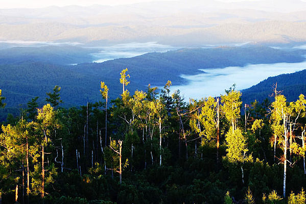 �ֺ�����