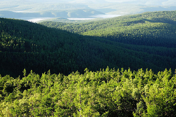 ãã��ɫ�ֺ�