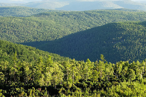 ãã��ɫ�ֺ��羰