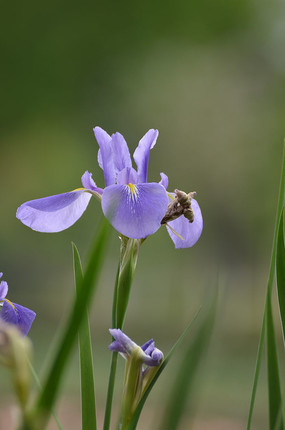 ��������������ͼƬ