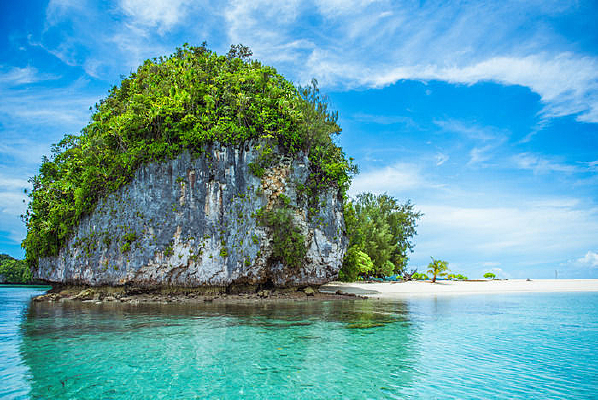 ���͵����˵�