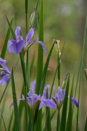 ��д��������ͼƬ