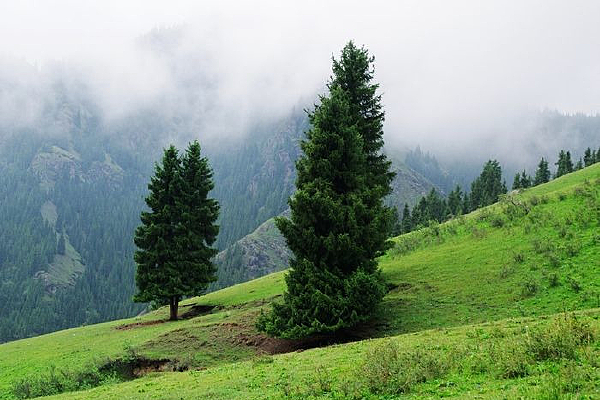 �½�����ɽ