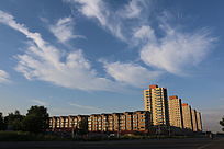 �Ʋ�����