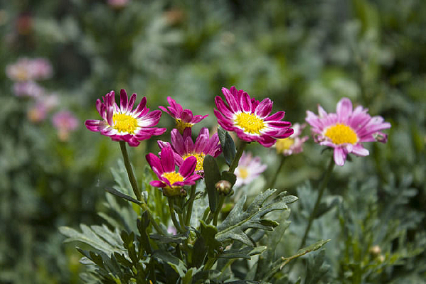 ����������ػ�