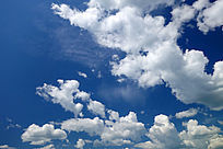 ������Ʒ羰