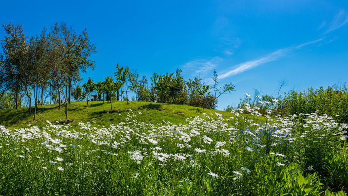 �����µ���԰