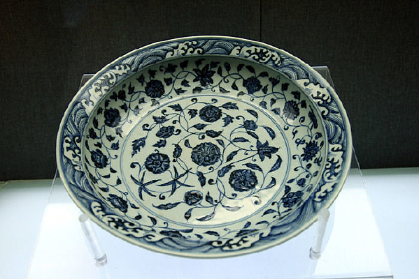 �����໨��֦����������