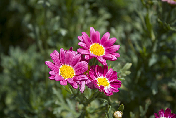 ����������ػ�