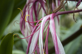 ��ɫ��������