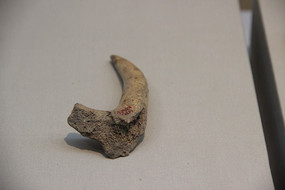 ��¹÷֦�ǻ�ʯ