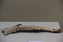 ��¹�����ǻ�ʯ