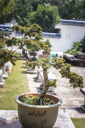 ���������С���辰