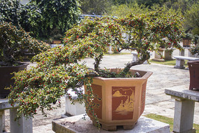 ���������С������