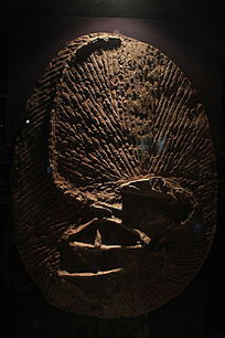 ������ʯ