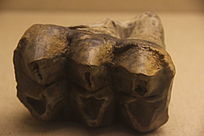 ��������ݻ�ʯ