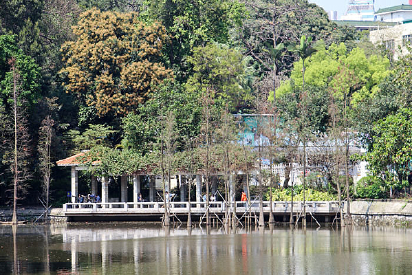 ��ʿͤ����