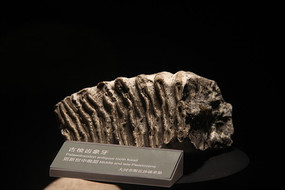 ����������ݻ�ʯ