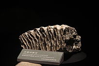 ����������ݻ�ʯ