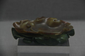 ��Ҷ�����ϴ