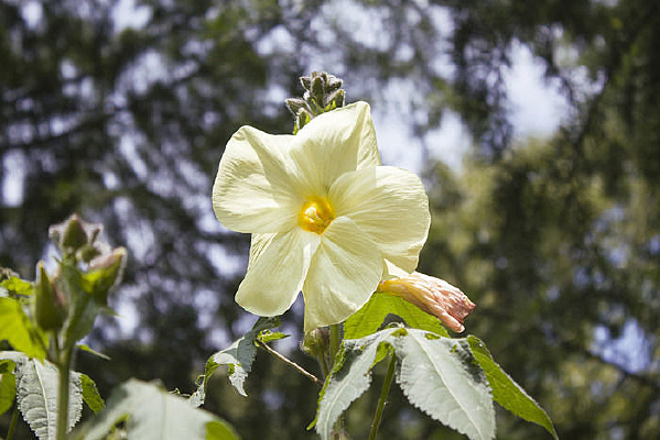 ��ɫ��ܽ�ؿ�