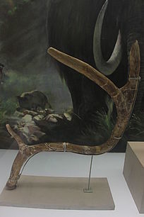 ������¹¹�ǻ�ʯ