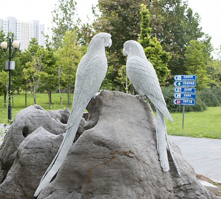 ��ֻ�������ĵ���