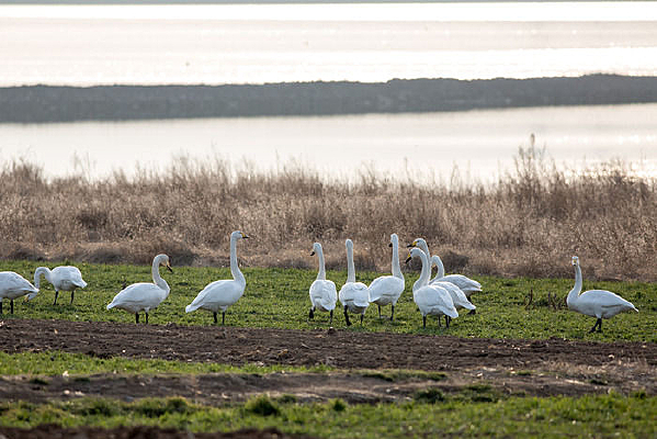 �����е����